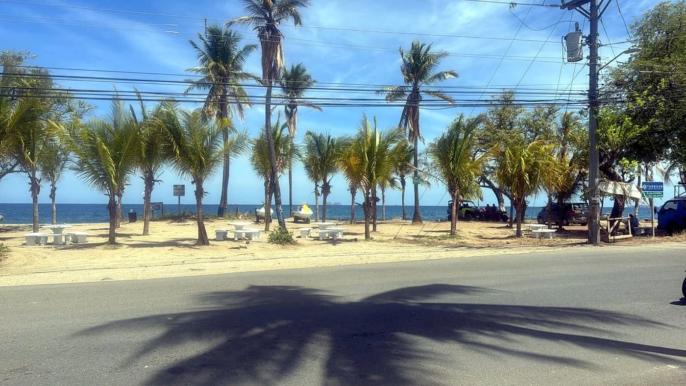 Finished beachfront with rows of palms and blue benches at Playa Brasilito